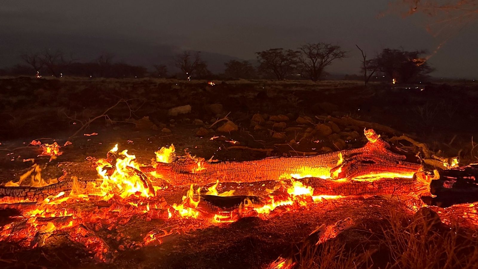 Maui Fires